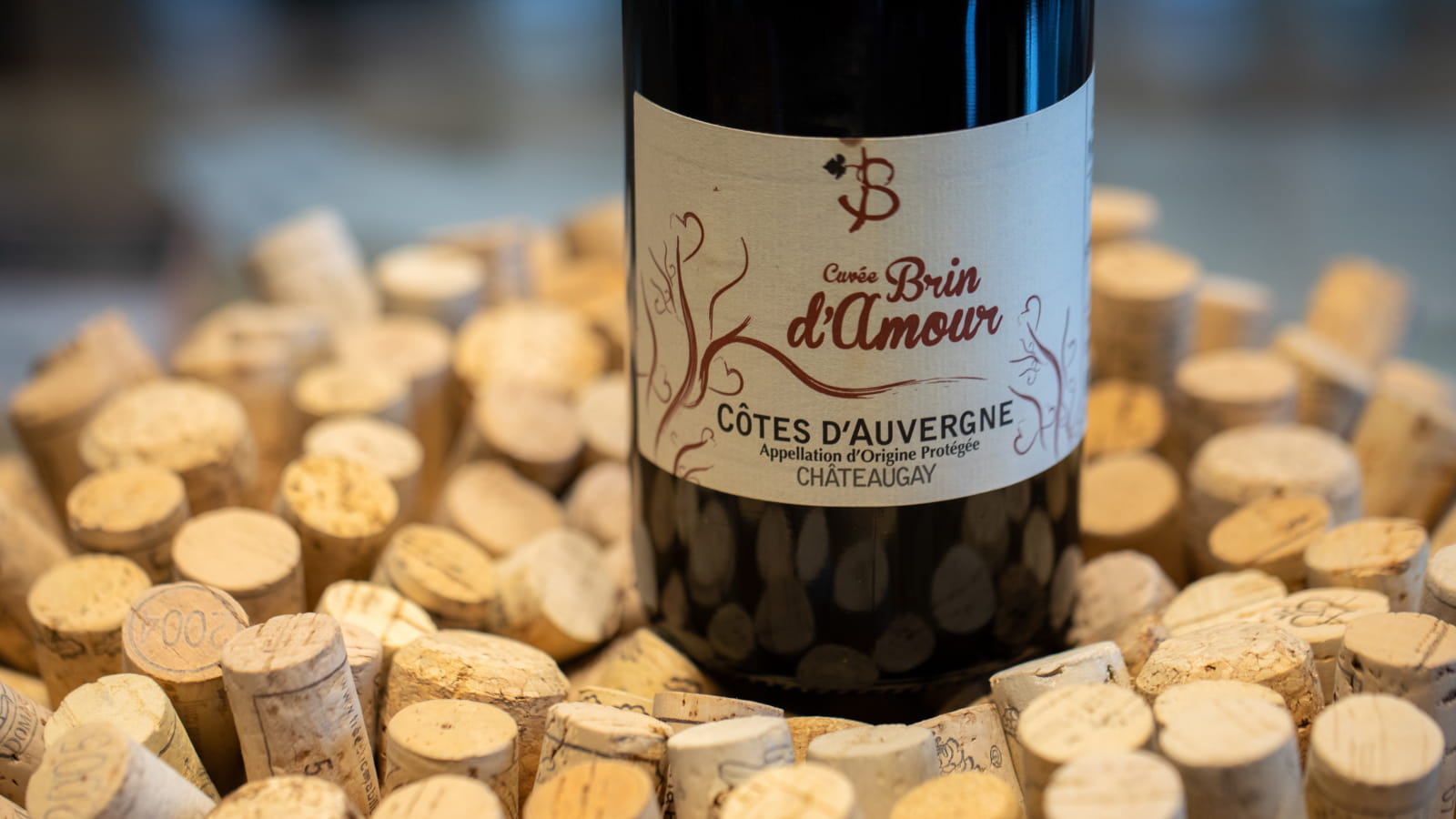 Les vins AOC d'Auvergne  Auvergne Destination Volcans