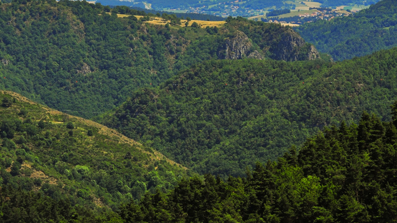 Les gorges de la Loire et le plateau du Mézenc