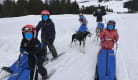 Team sensations Mushing