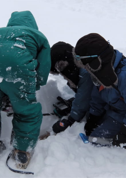 Animation la neige dans tous ses états