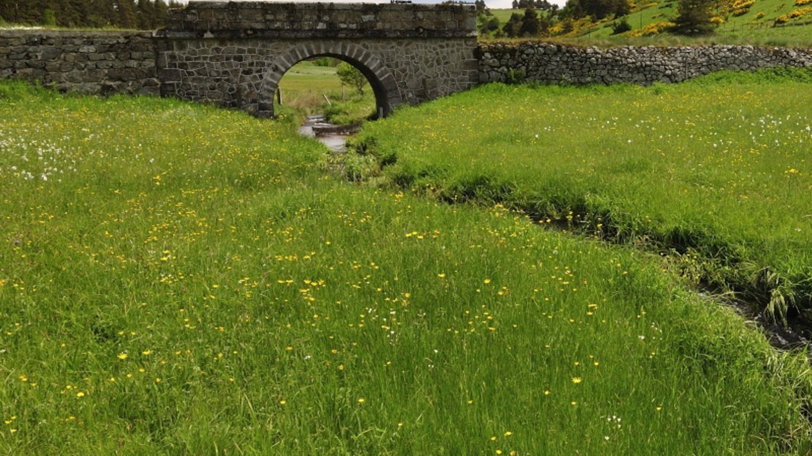 Pont sur le Panis