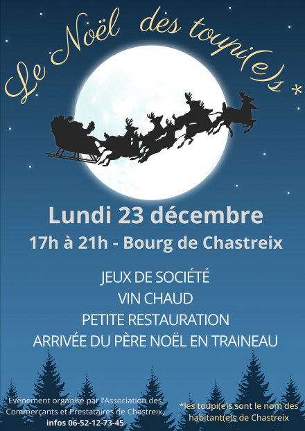 Le Noël des toupis