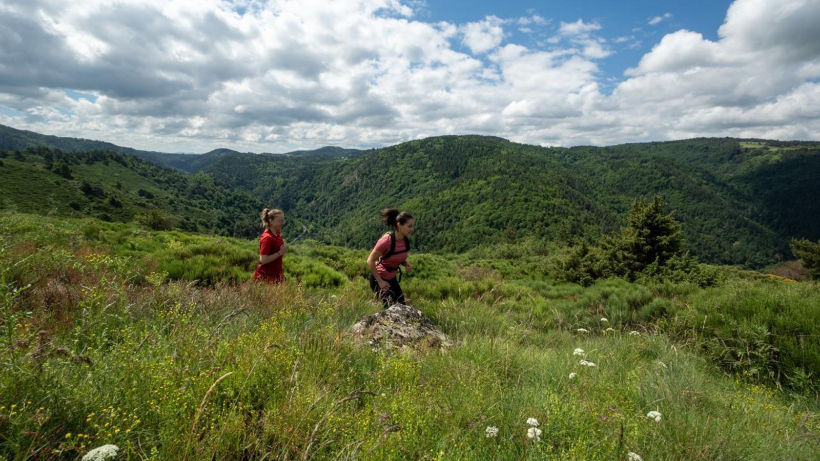 Trail sur le plateau du Devès