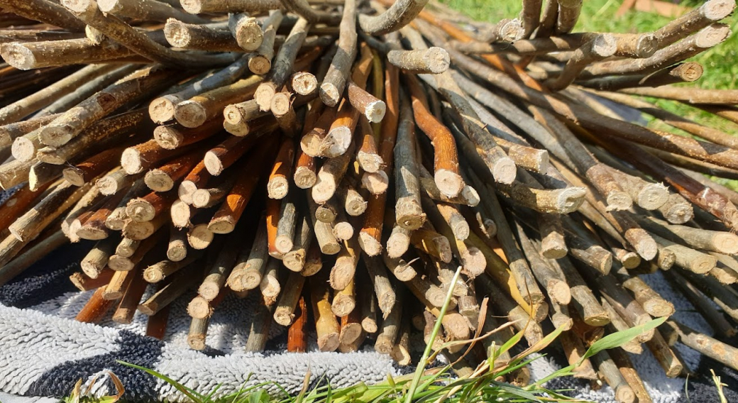 Regular or occasional basketry and nature art classes