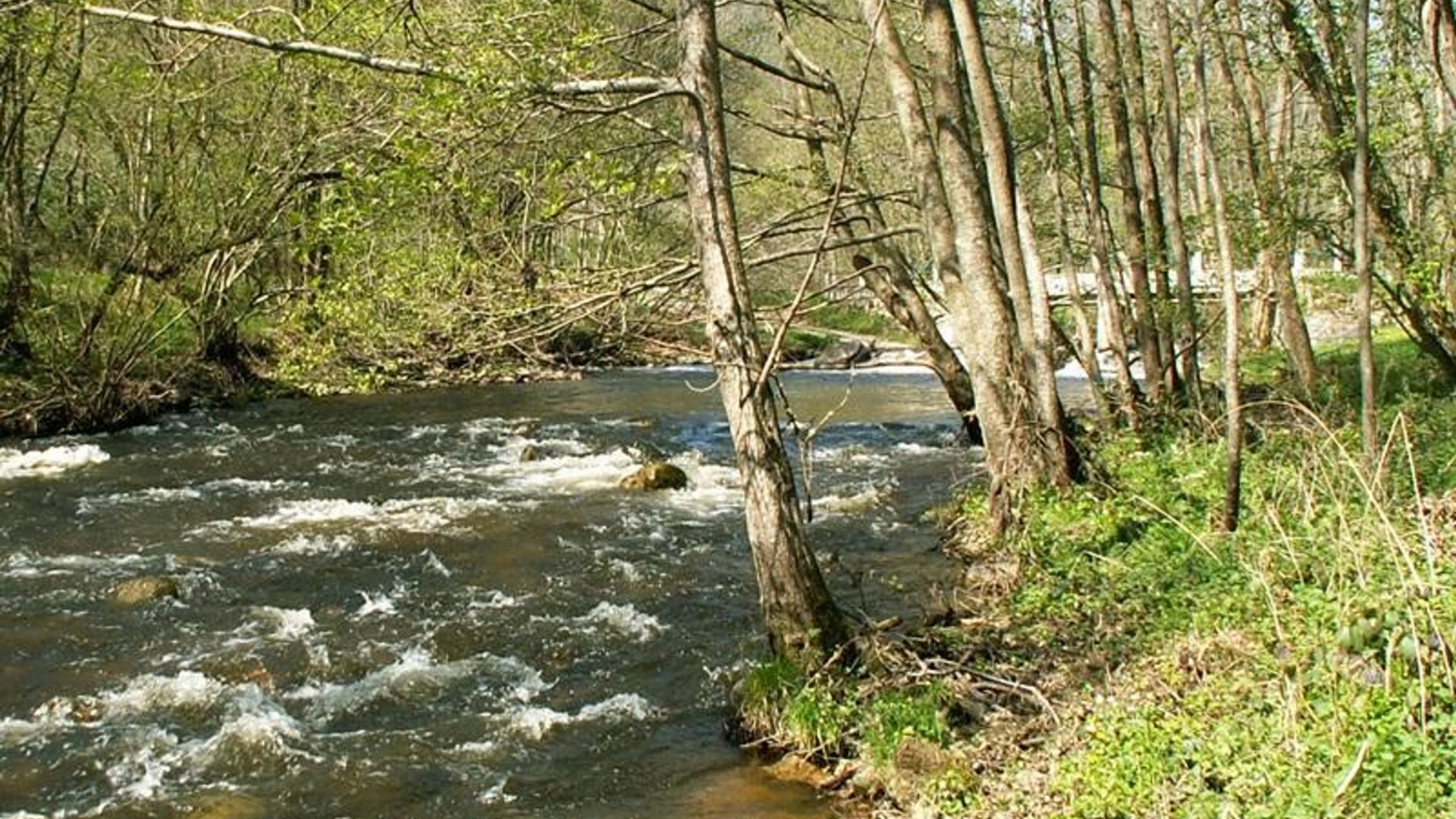 De l'Ance à la Loire