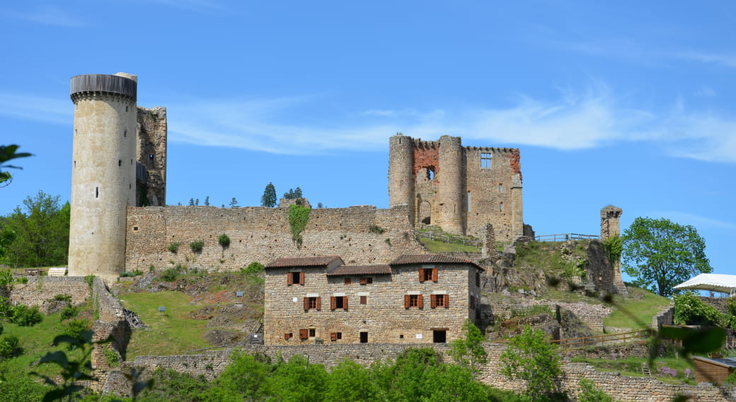 Chateau de Rochebaron