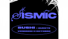 Sismic #10 : Bushi - Rounhaa + Guests | La Coopérative de Mai