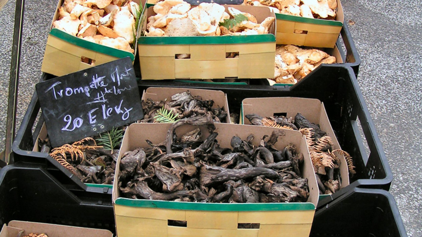 Marché aux champignons à Saint-Bonnet-le-Froid