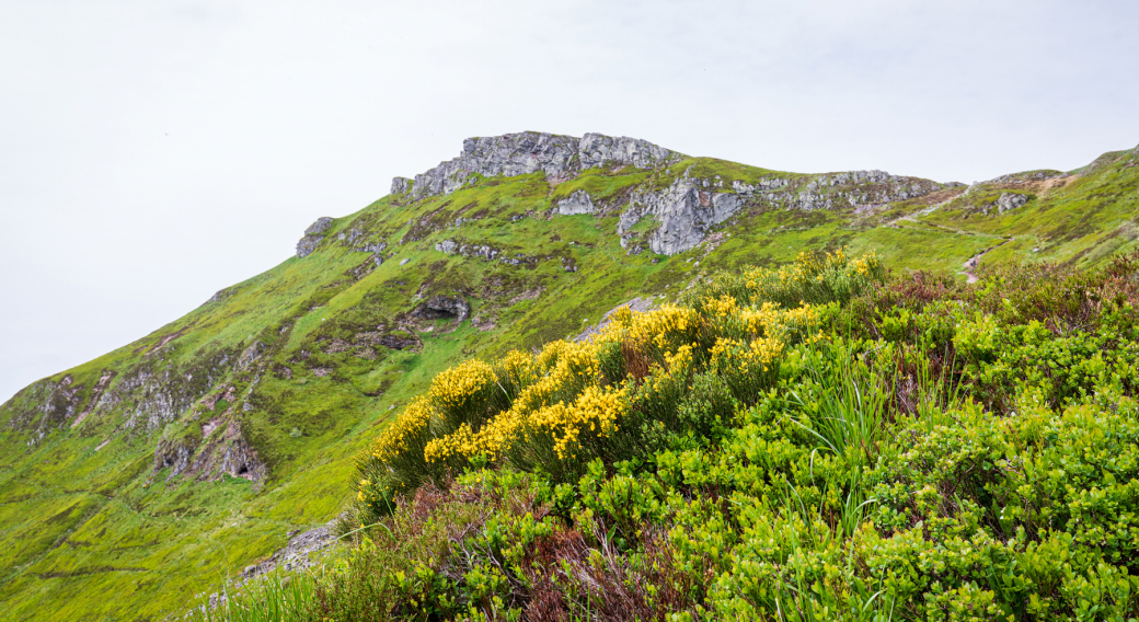 Les Monts du Cantal