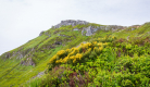 Les Monts du Cantal