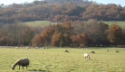 Ferme des Acacias