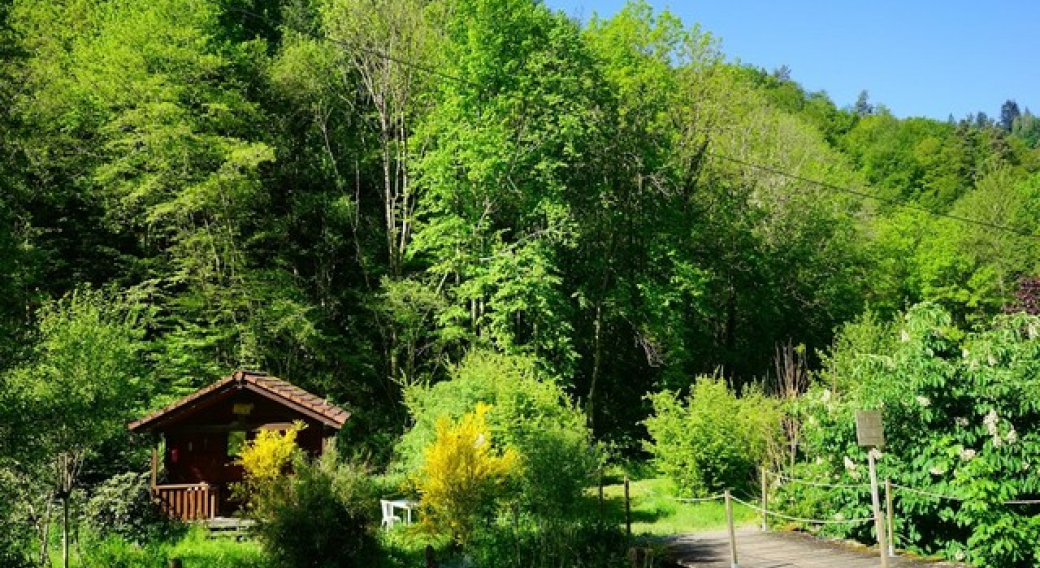 Chalet l'orée du bois