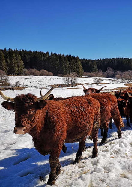 Découverte d'une ferme de montagne