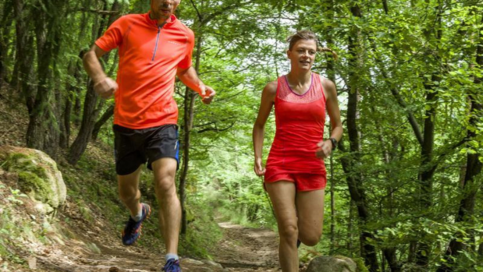 Descente effrénée dans la forêt