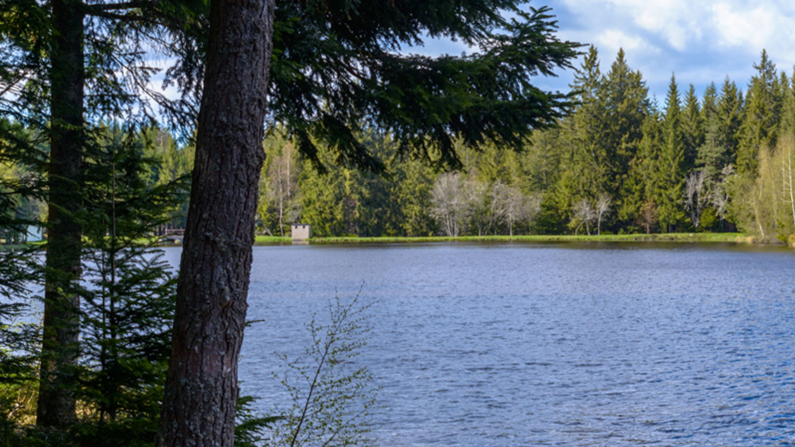 Etang du Breuil