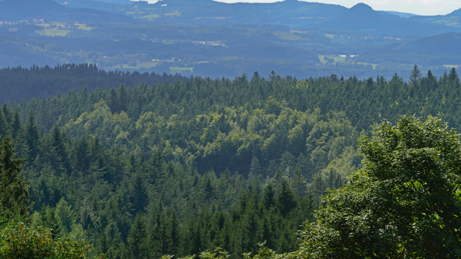 Vue sur les sucs depuis le Mas-de-Tence