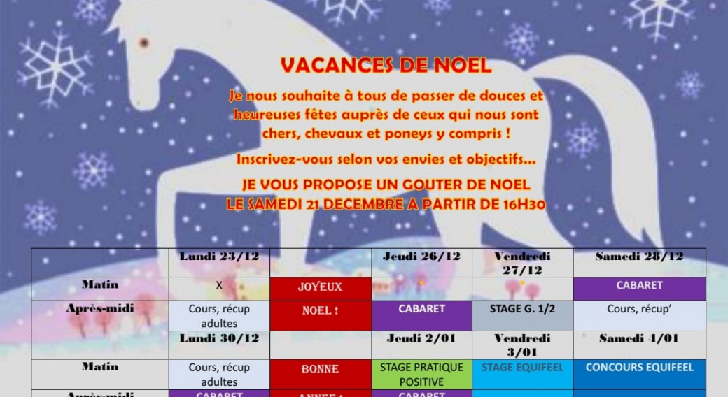 Vacances de Noël aux Ecuries du Pont d'Auze