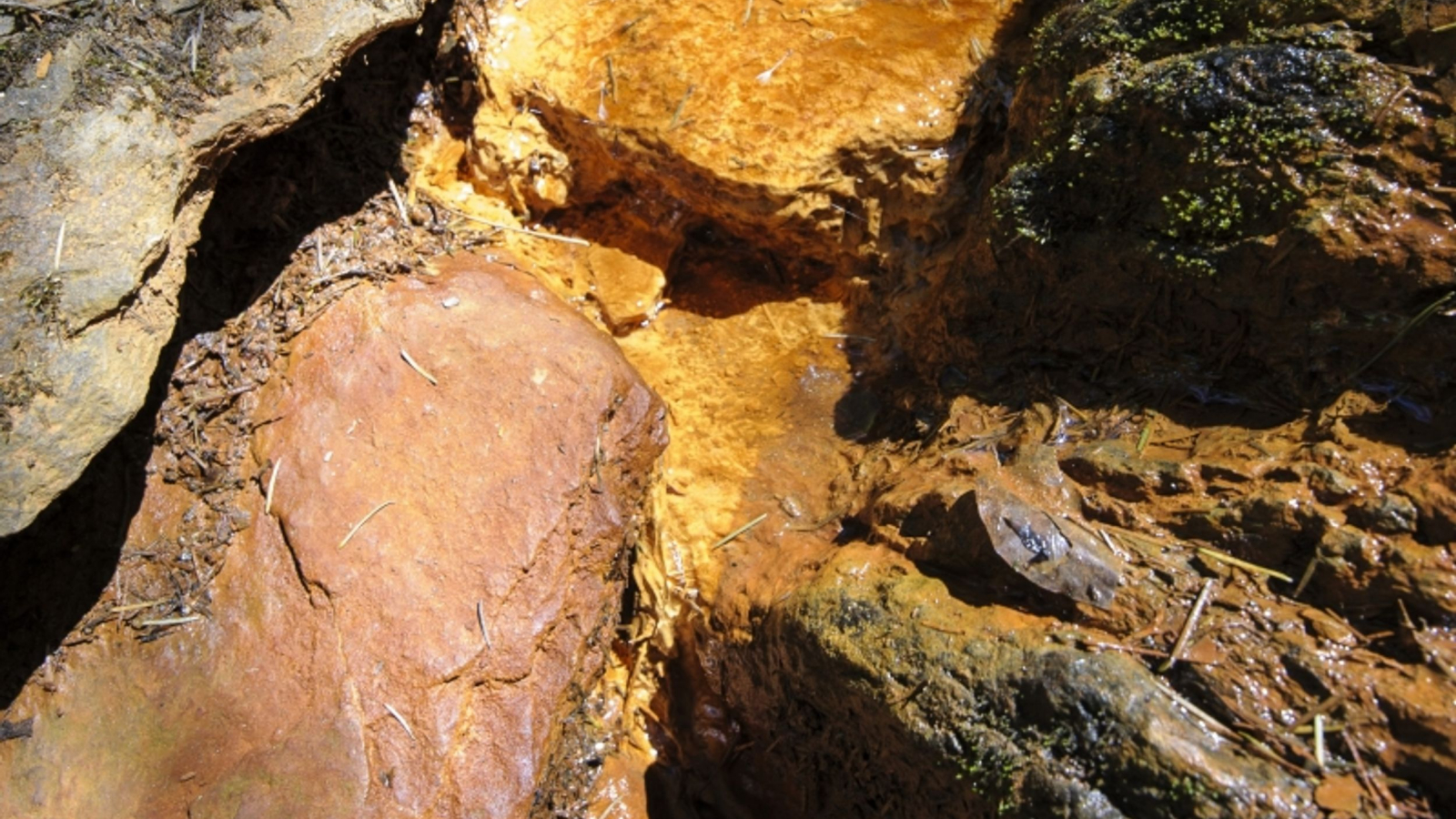 L'eau rouge férugineuse de la source de Pourcheresse