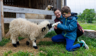 La Ferme de la Marinette - Visite ferme pédagogique