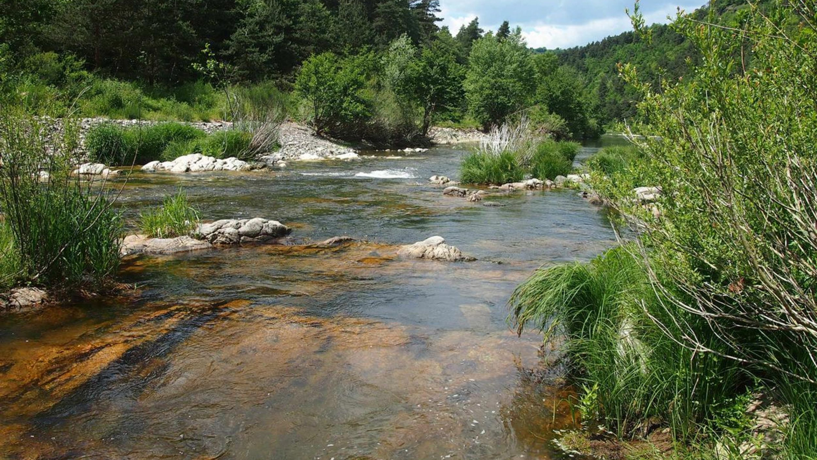 Clin d’œil aux sources de la Loire