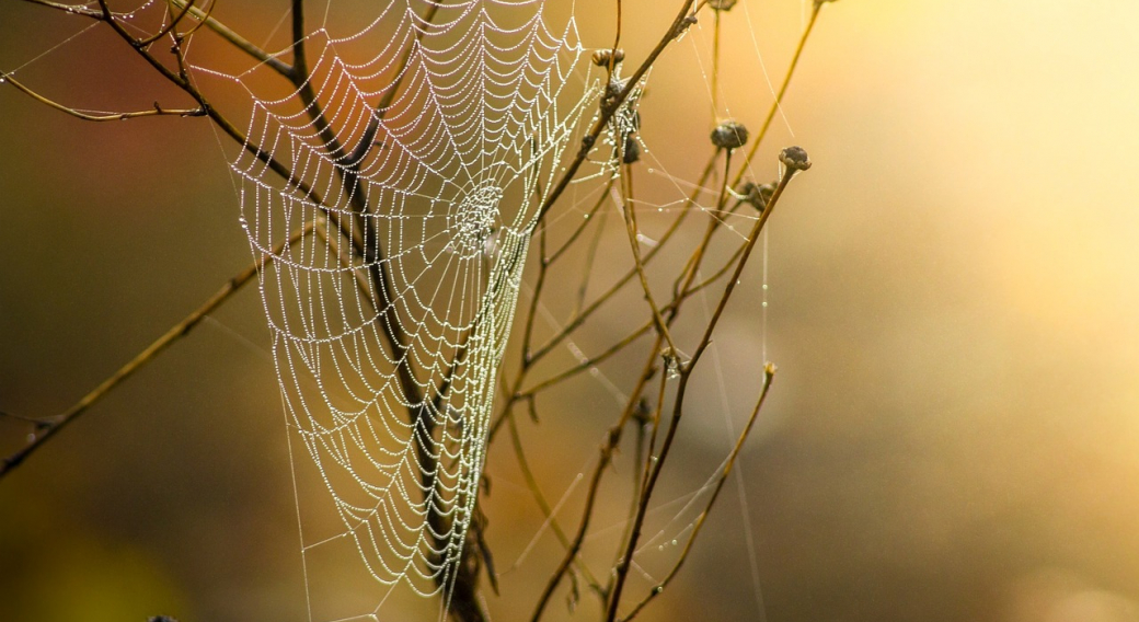 Semaine gourmande : sortie nature