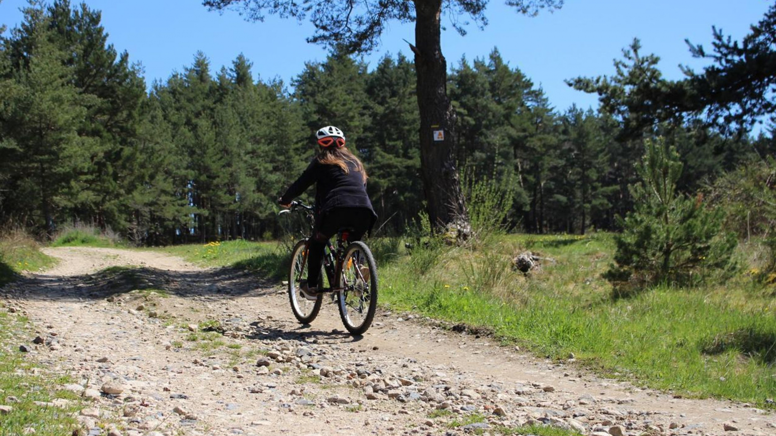 Circuit de la Transhumance