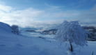 Rando Raquettes 'A la découverte des plateaux enneigés de Grandval'