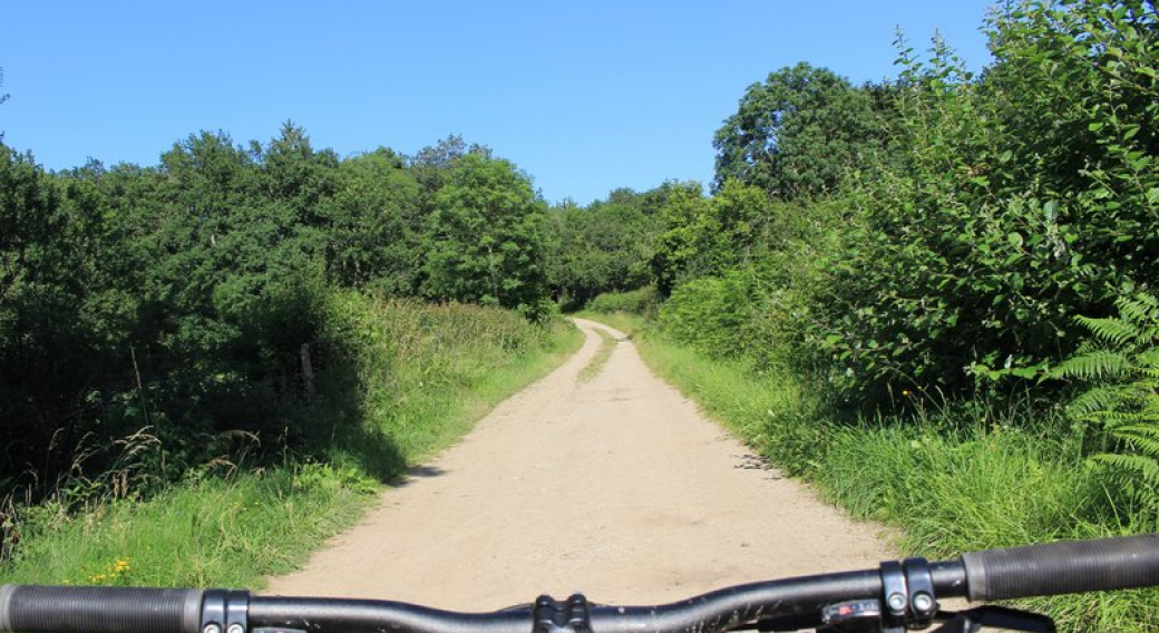 Circuit n°41 - Espace VTT-FFC Ambert-Crêtes du Forez