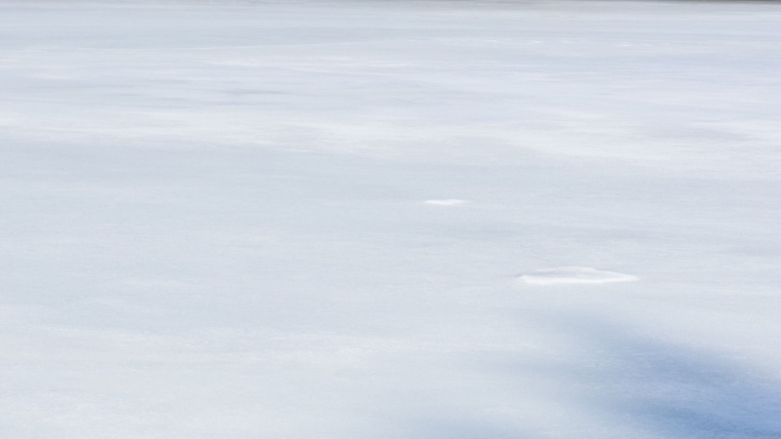 L'étang de Berbezit en hiver