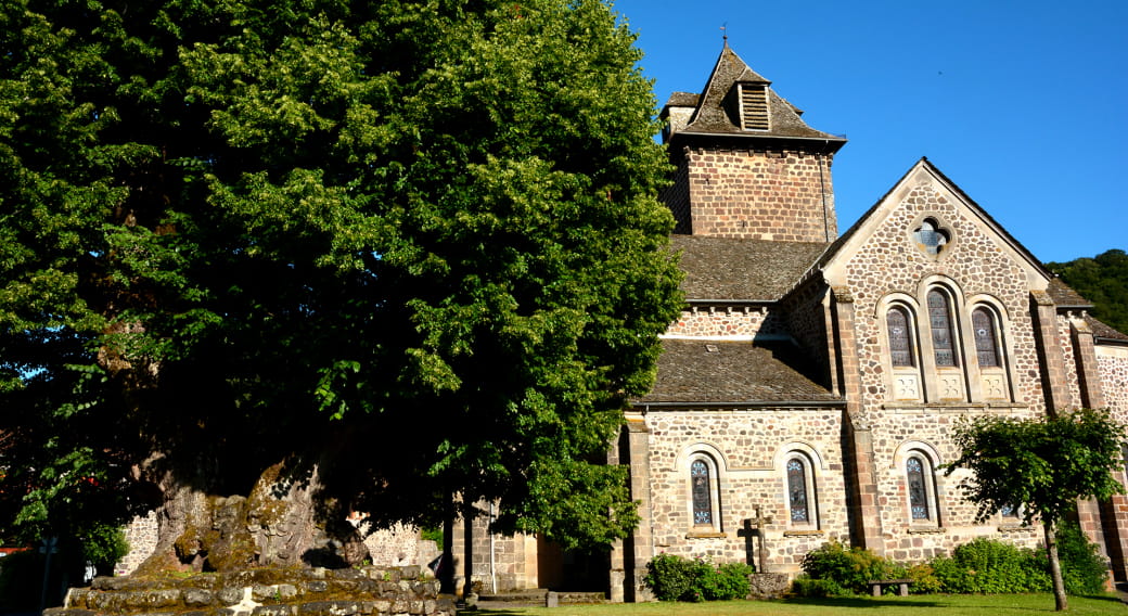 Tilleul Sully et l'église de St Simon