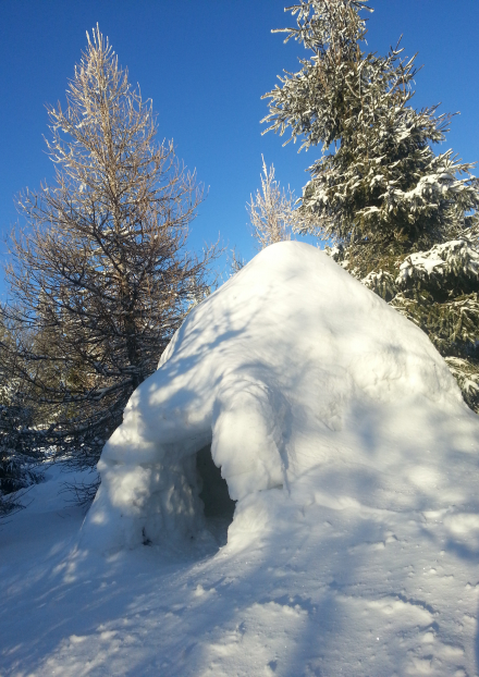 Igloo