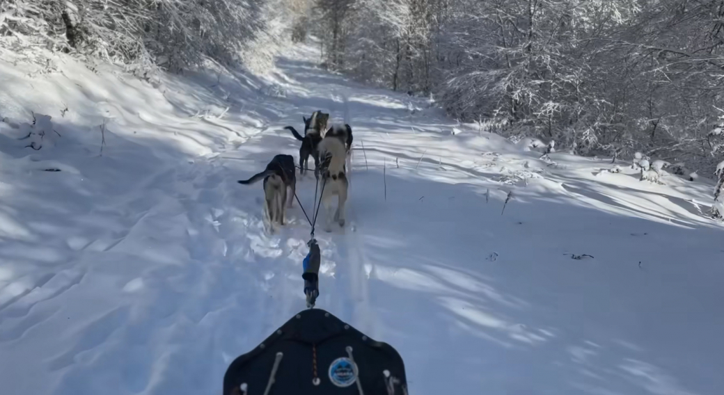 Journée Chien de traineau et repas au buron