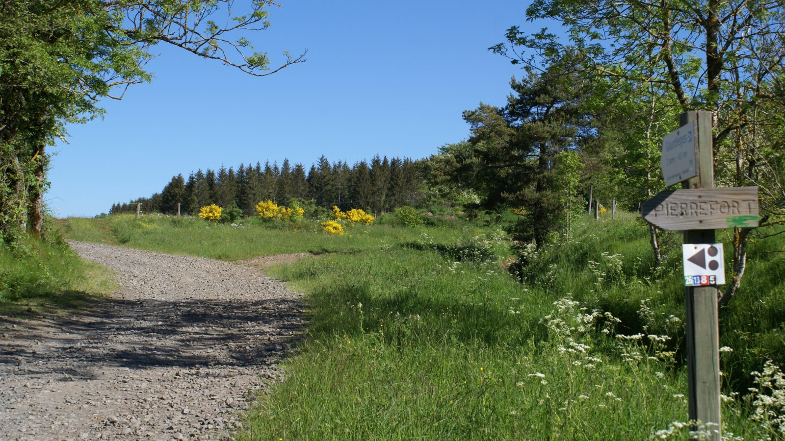 Circuit VTT n°26 : Sentier du Pré Clau