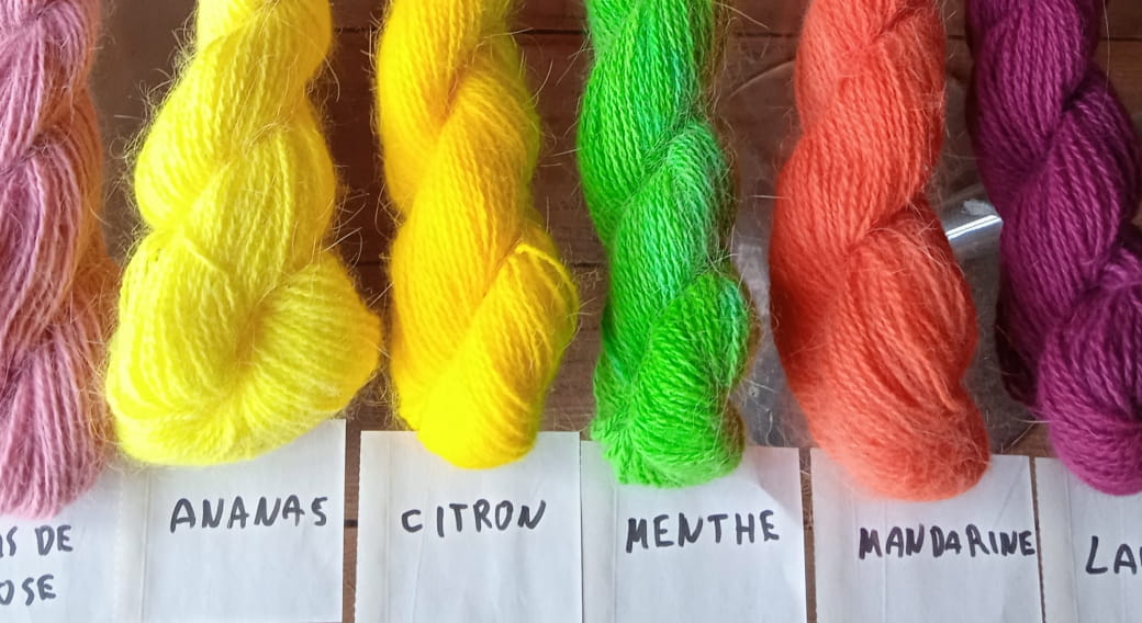 Angora wool dyeing workshop