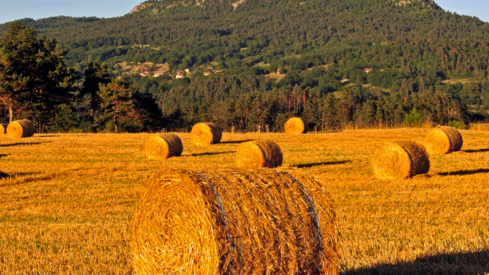 Le plateau de la Madeleine