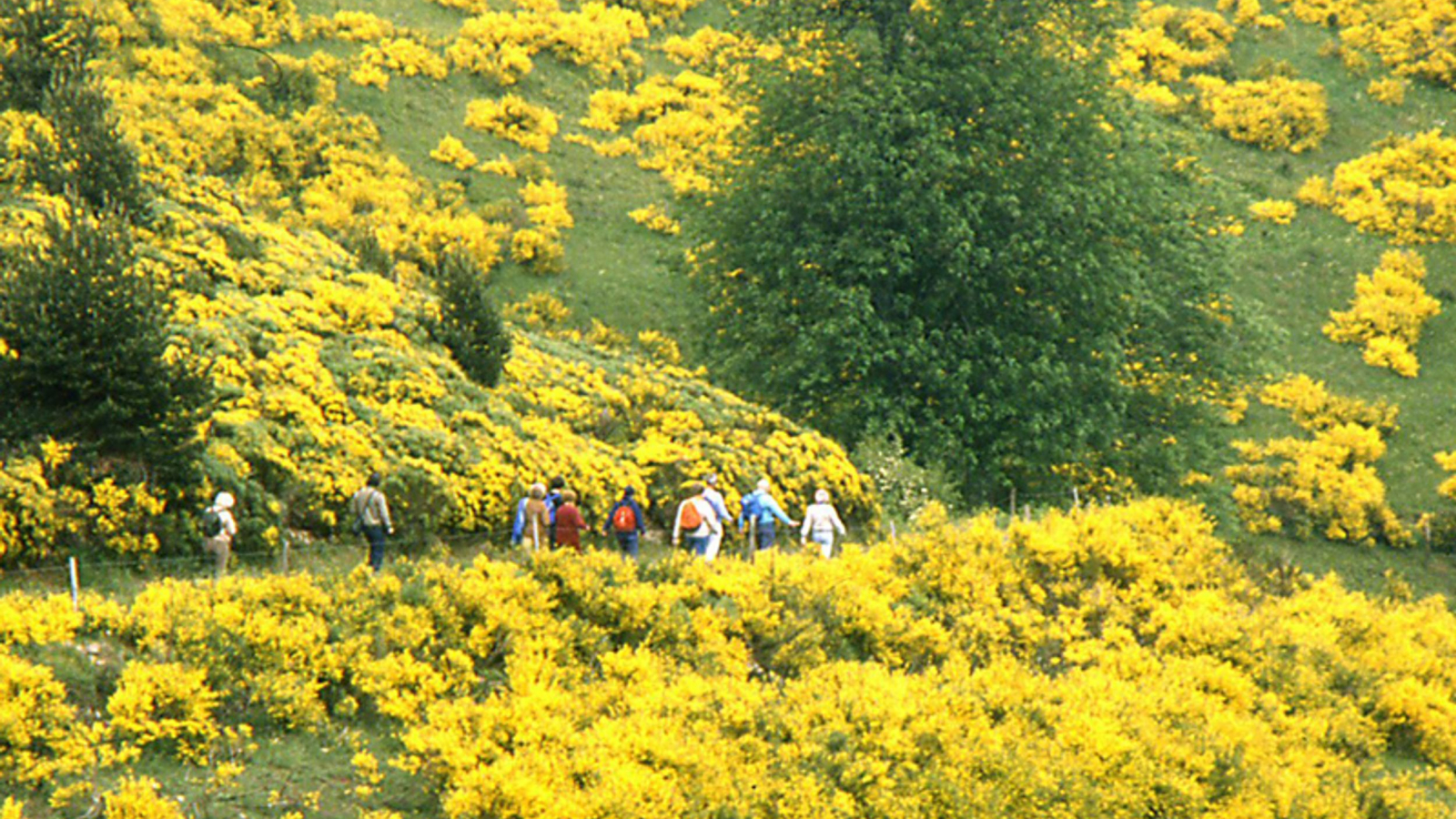 Randonneurs à Riotord