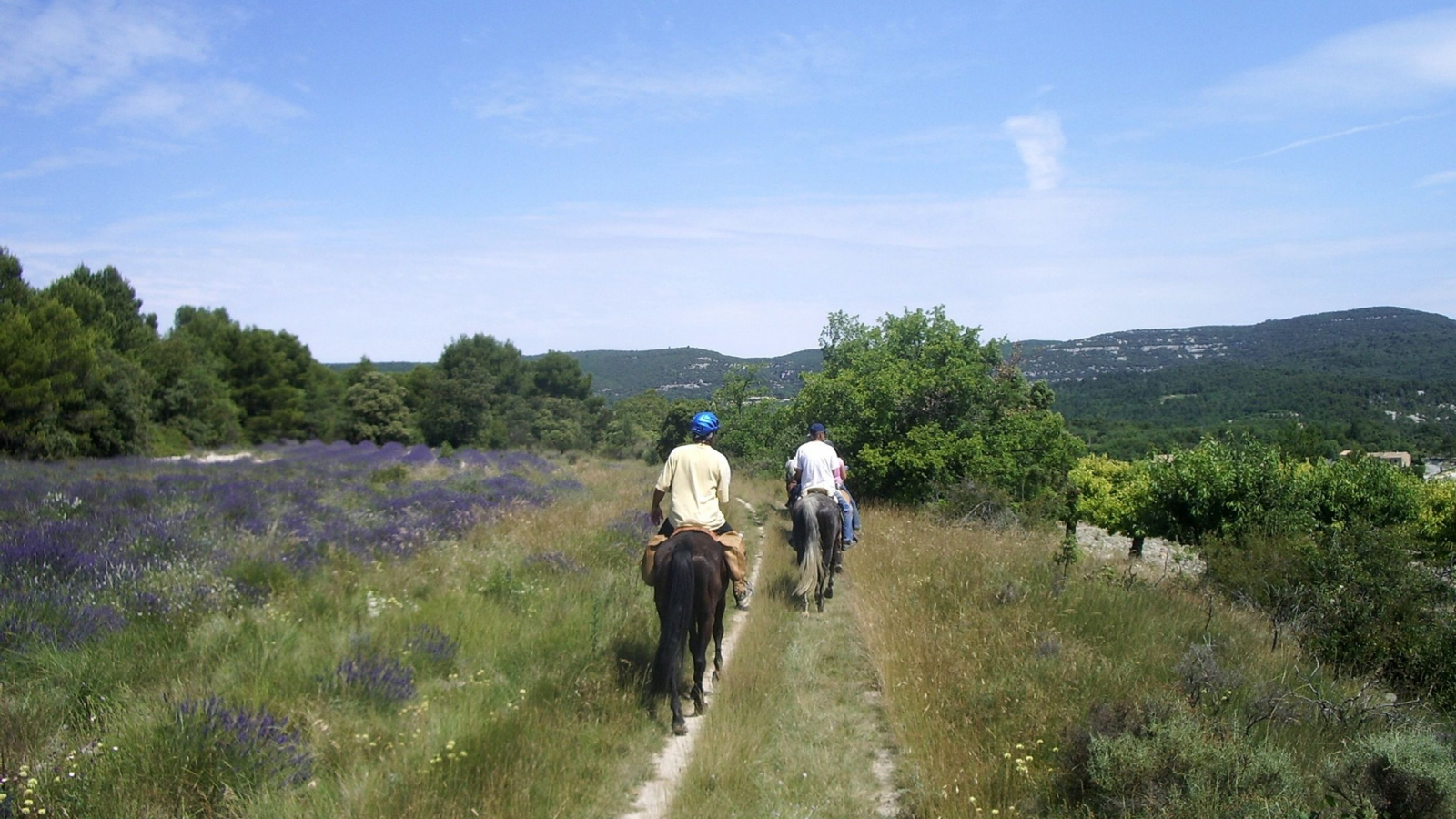 Sur les hauteurs de Murs