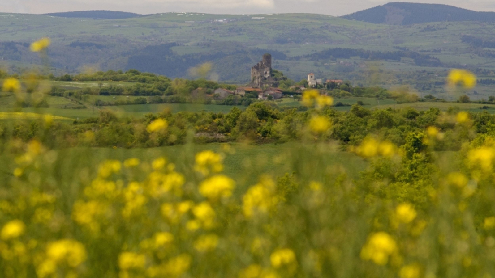 Vue sur le château de Léotoing et les monts du Cézallier