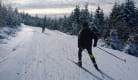 Activités de l'Ecole du Ski de Fond Sancy Nordic