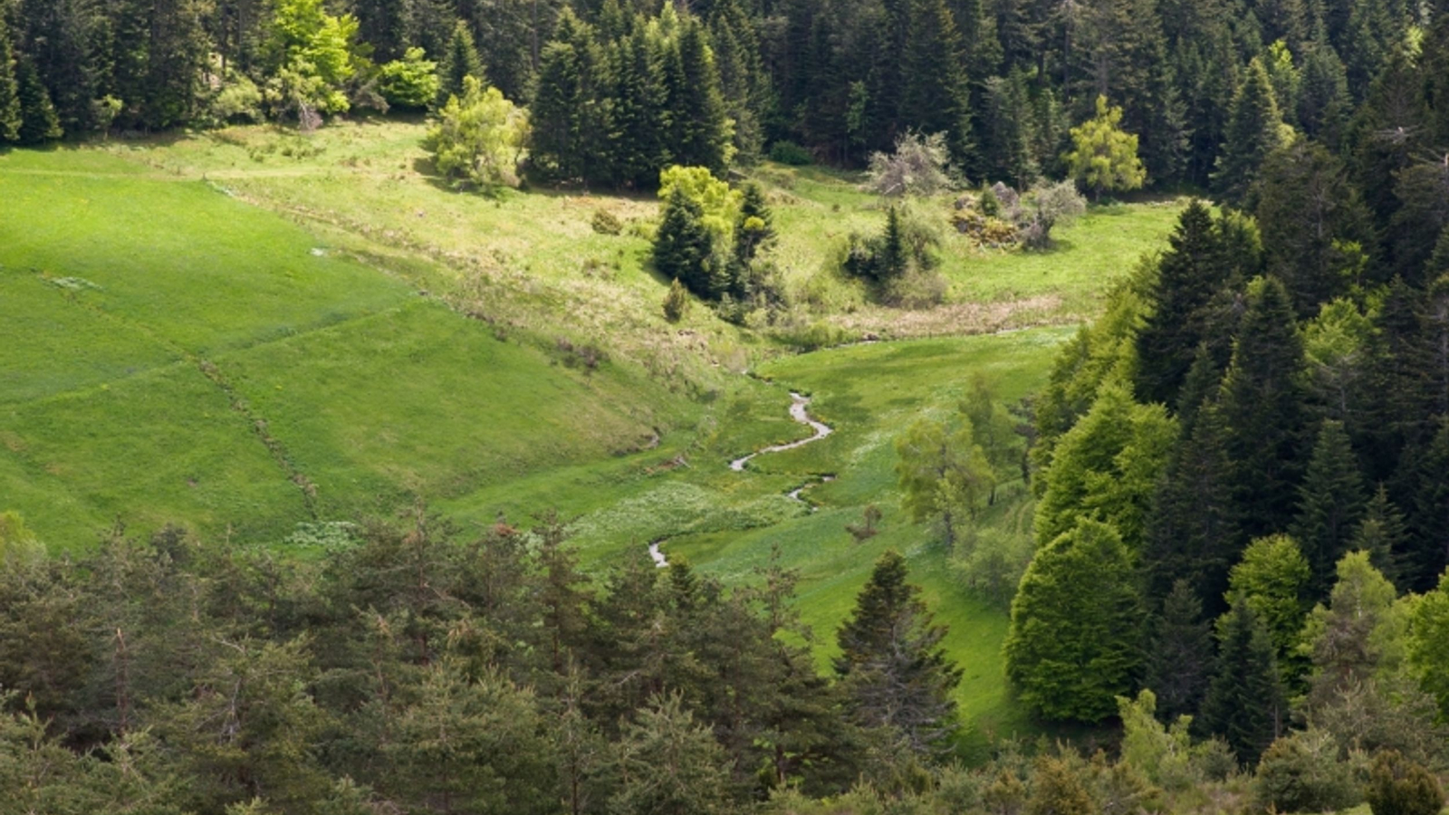 Le mont Mouchet