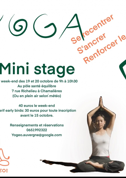 Mini stage de yoga ados adultes