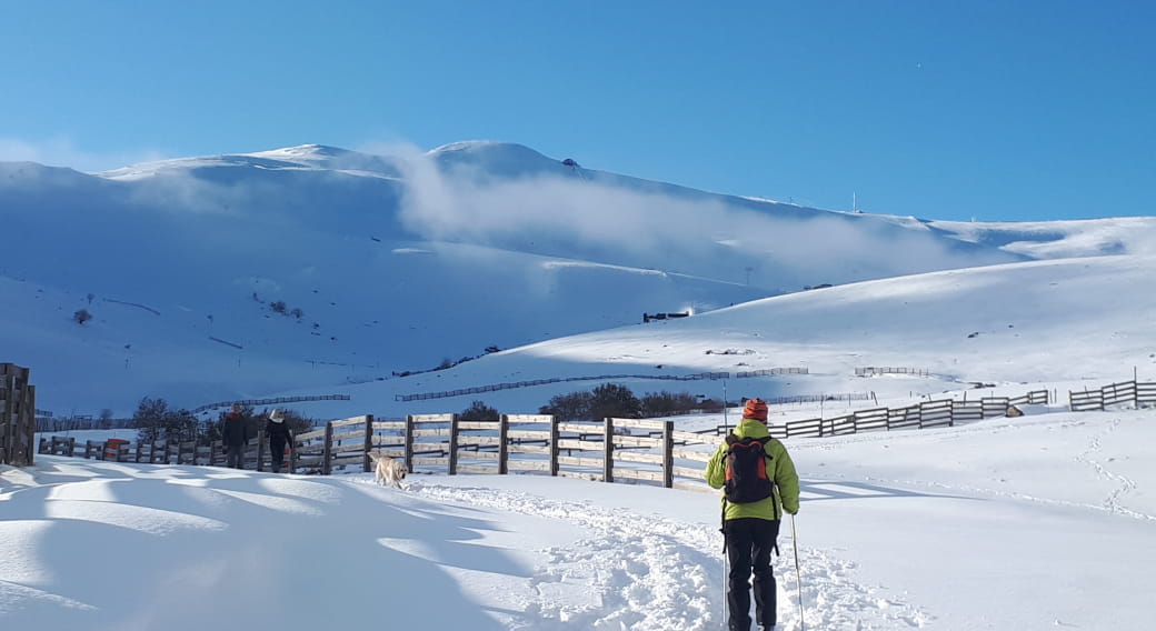 Rando Raquettes 'A la découverte des plateaux enneigés de Grandval'