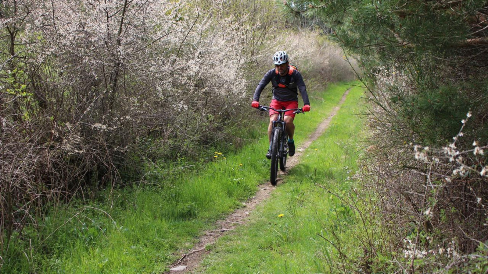 Détour en sous bois à travers les Roches