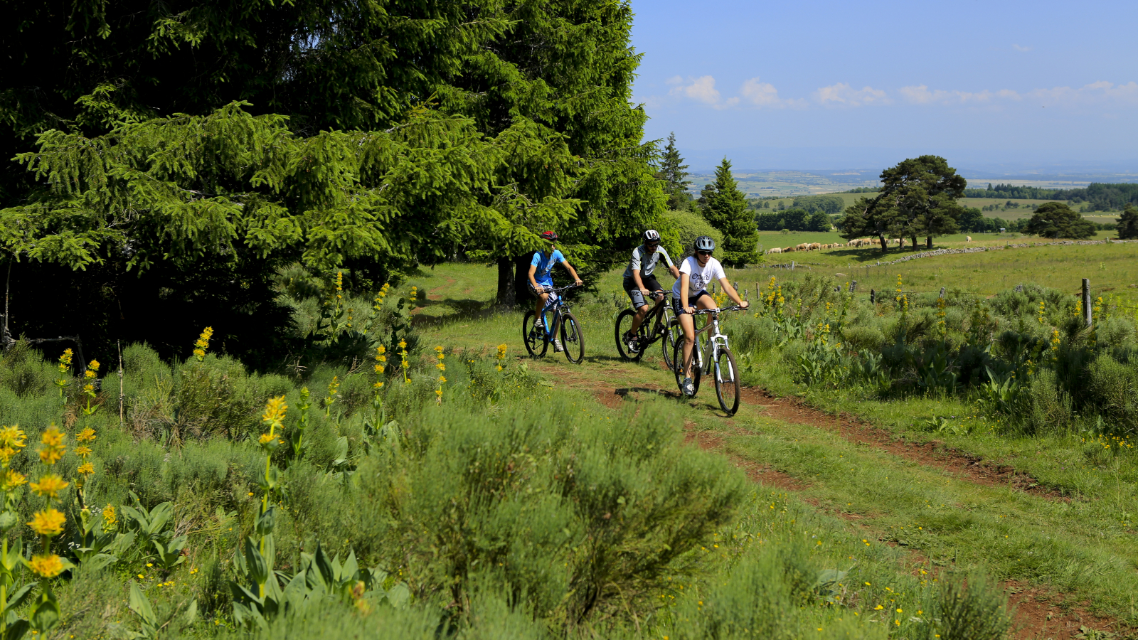 Circuit VTT autour de Saint-Flour