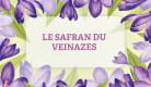 GAEC des Limousines Safranées - Saffron production