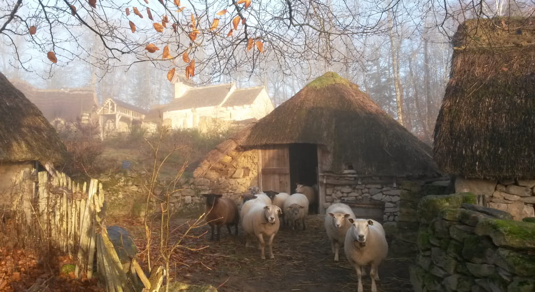 Les Fermes du Moyen Âge de Xaintrie