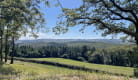 Chambres d'hôtes dans l'Allier en Auvergne