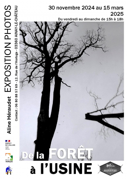 Exposition photos : De la forêt à l'usine