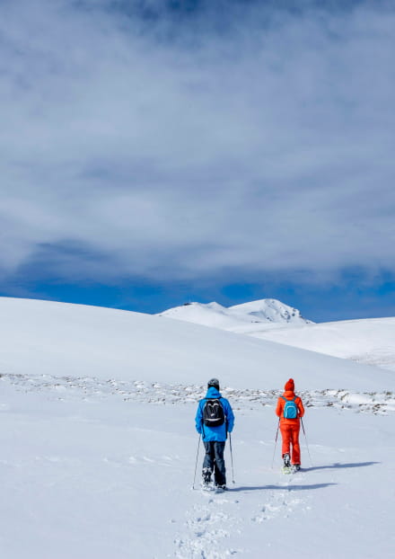 Animaux des grands froids à Super-Besse