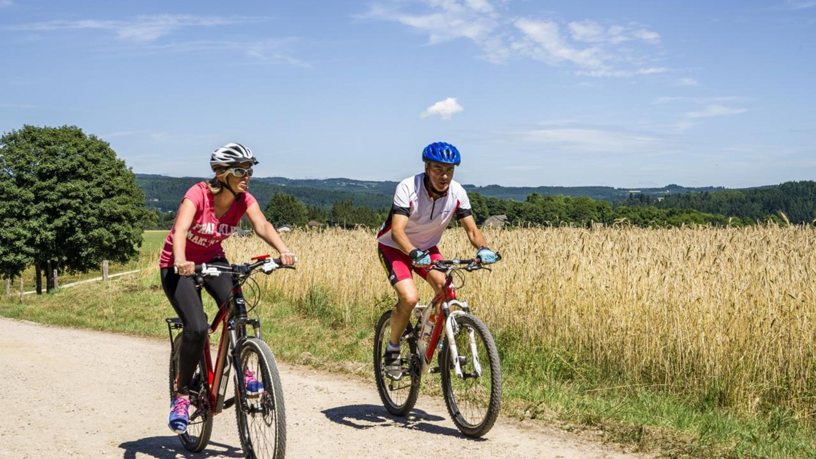 Sur les sentiers en VTT